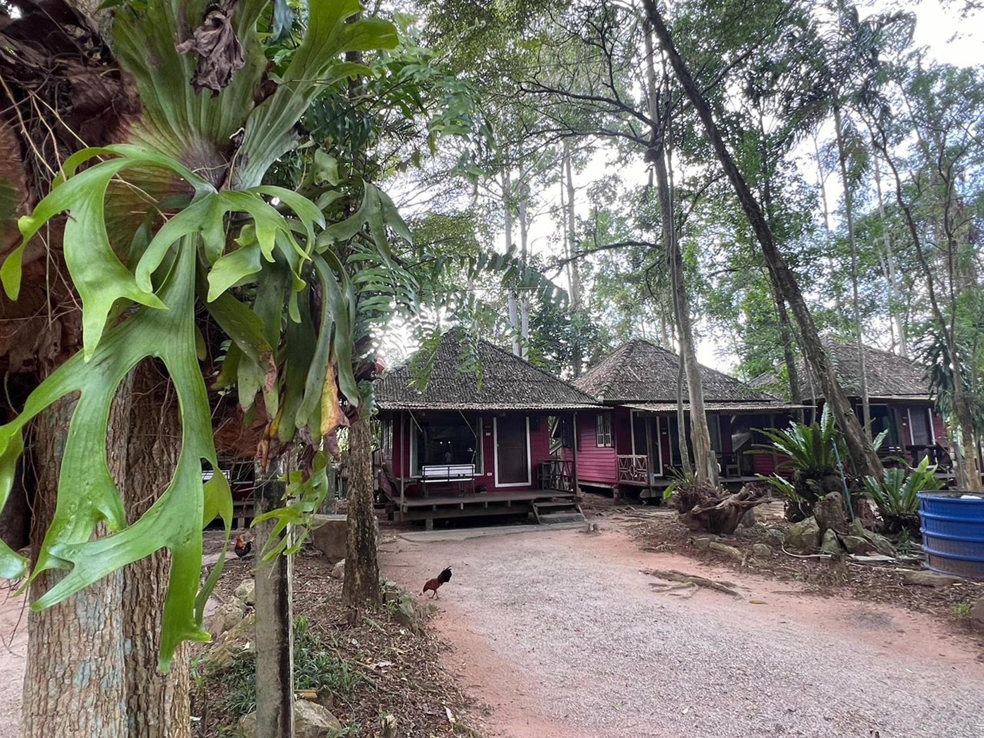 Pang Mai Resort Songkhla Extérieur photo