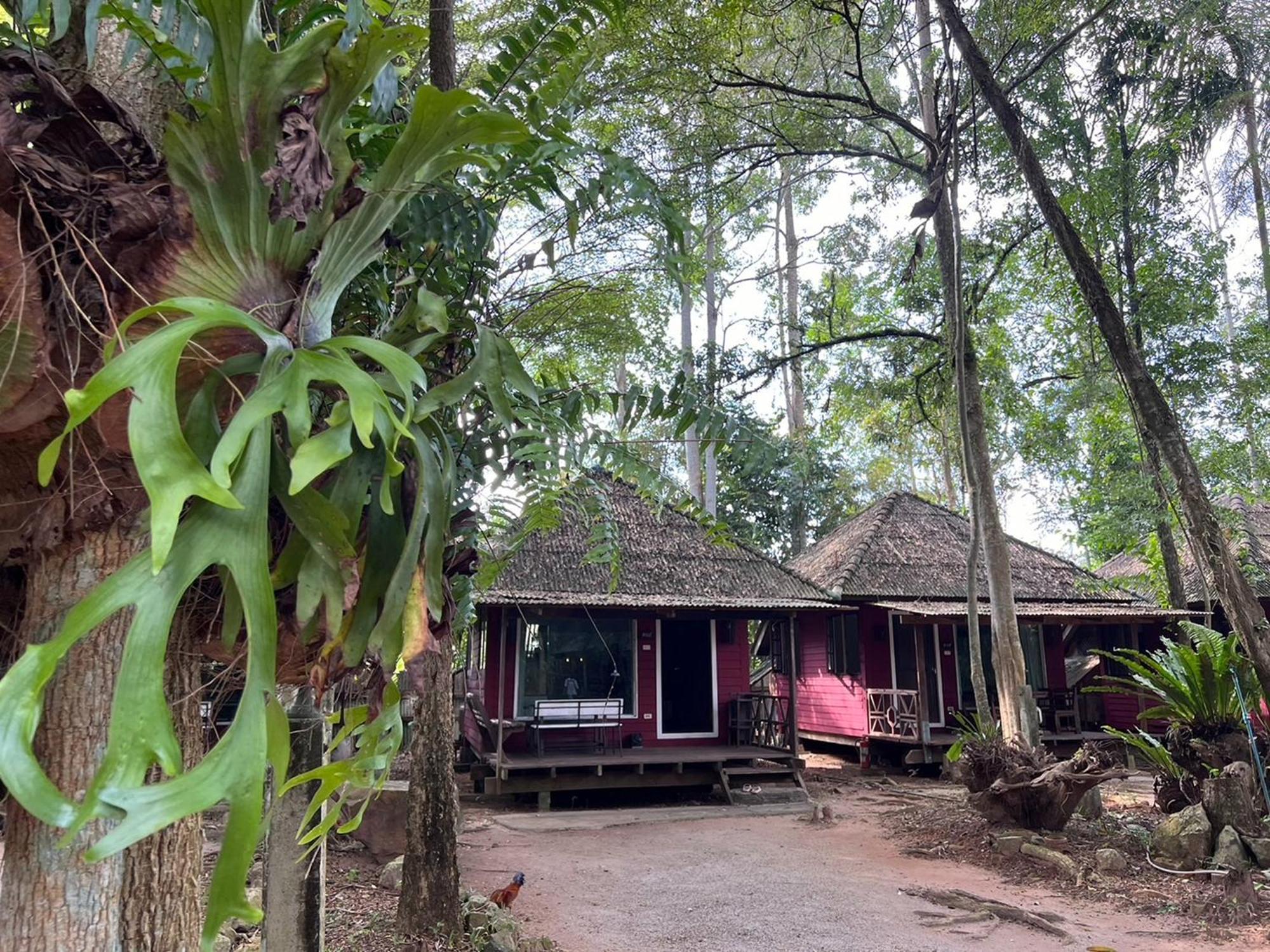 Pang Mai Resort Songkhla Extérieur photo