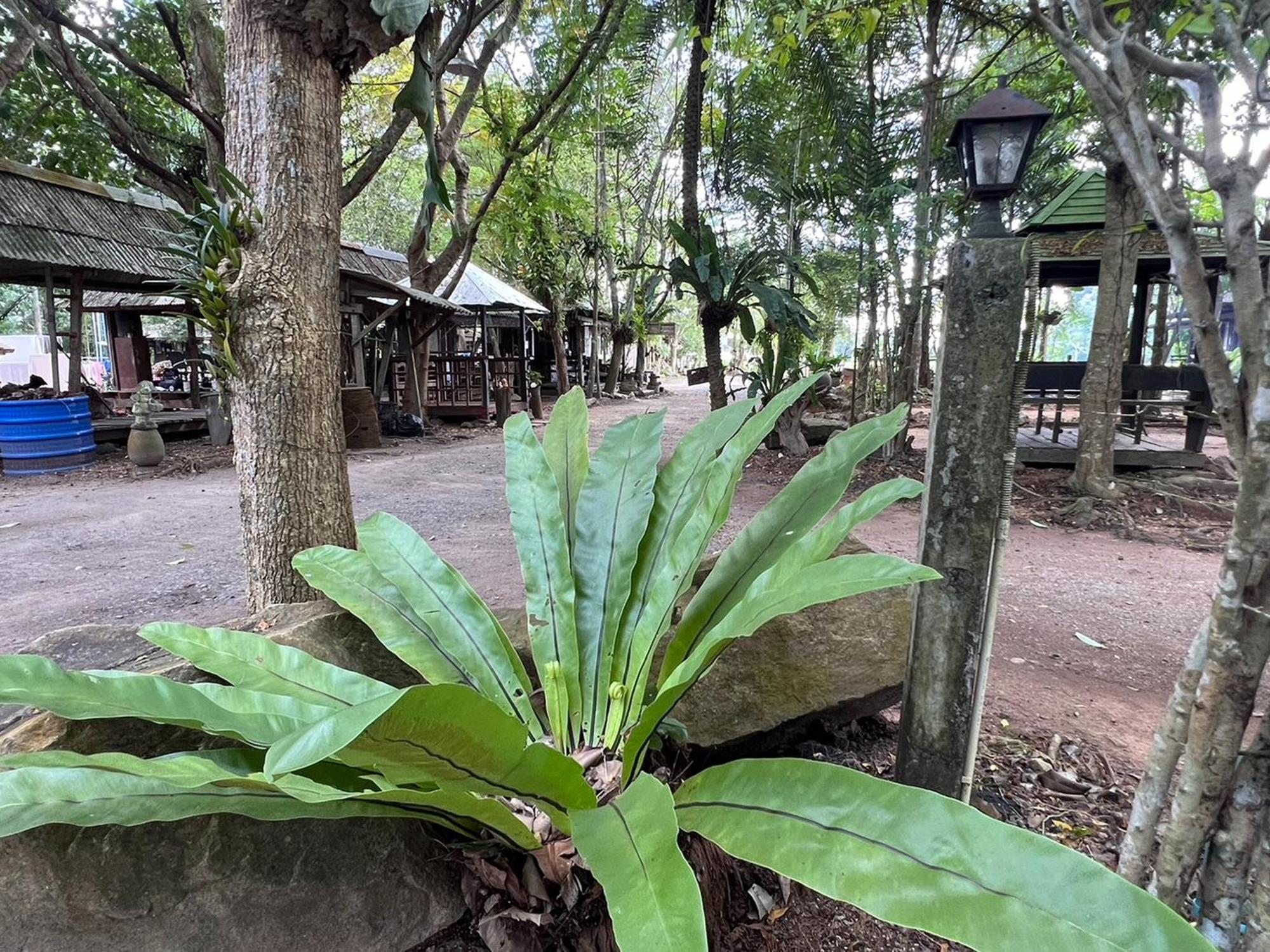 Pang Mai Resort Songkhla Extérieur photo